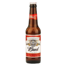 Bière - Bud Blonde - 33cl - 5°