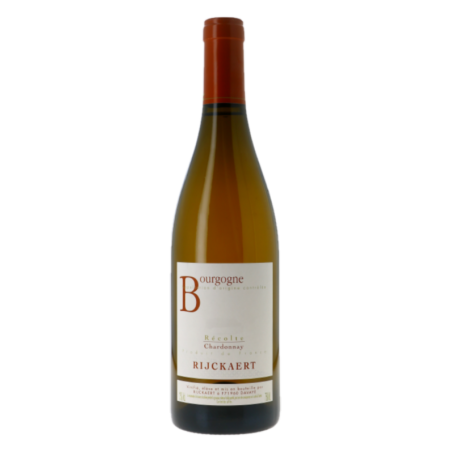 Domaine Rijckaert - Chardonnay 2020