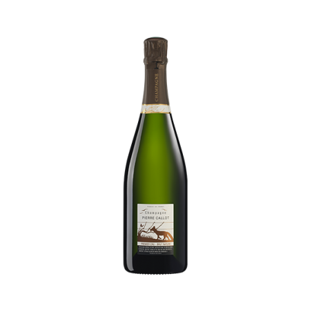 Champagne - Pierre callot "Brut Nature" - Blanc De Blanc