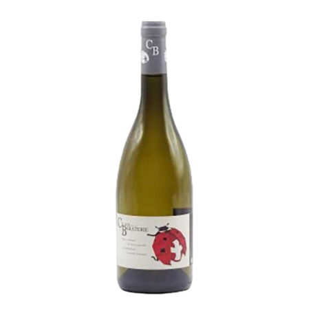 Vin Savoie - Cellier De La Baraterie - Jacquère 11°