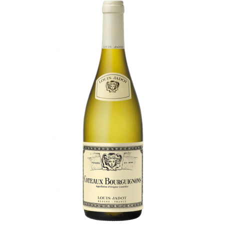 AOP Coteaux Bourguignons - Domaine Louis Jadot 2022 - Blanc