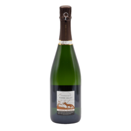Champagne Pierre callot -...